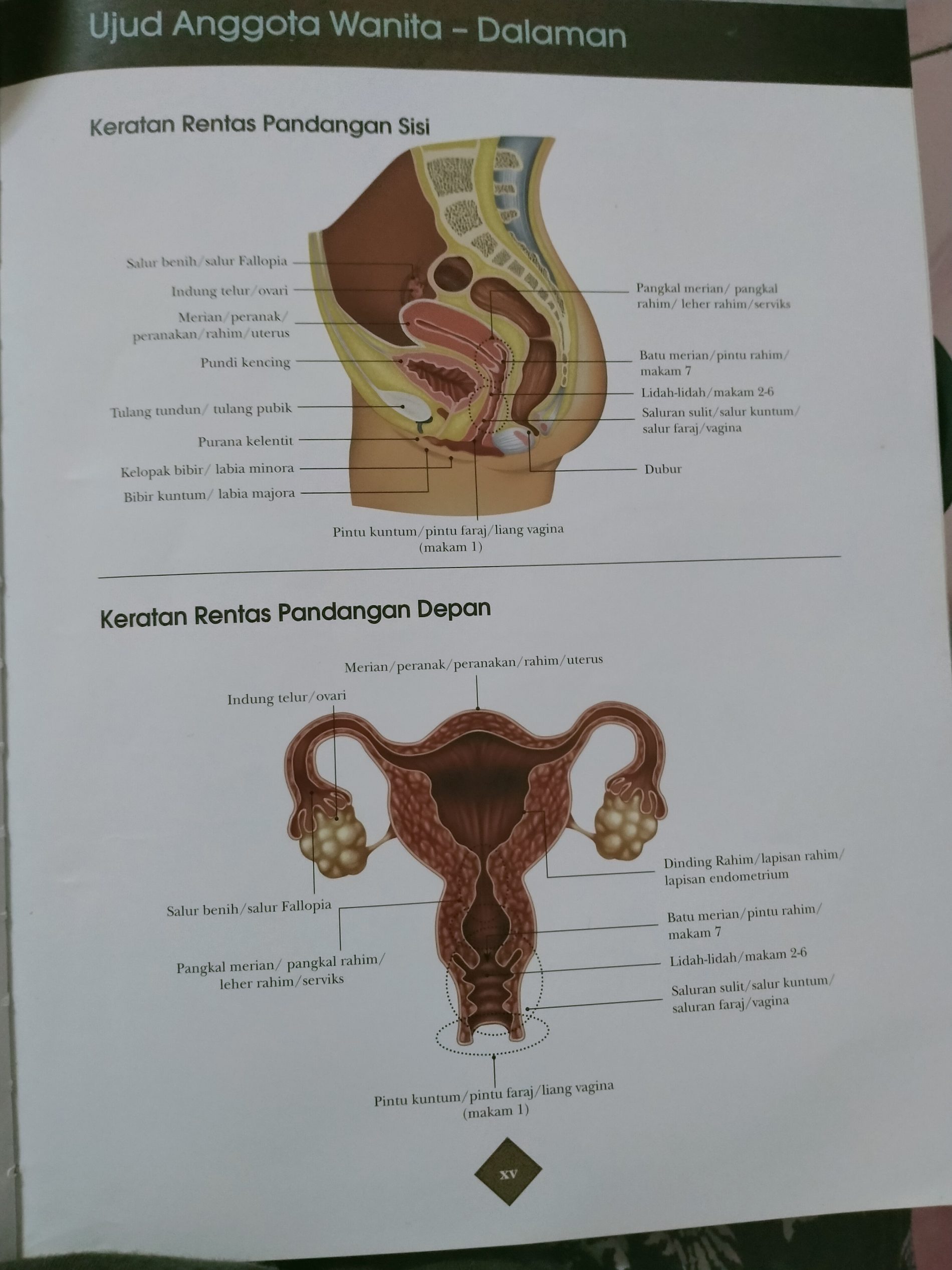 Tips Penjagaan Pantang Bagi Ibu Bersalin Secara Pembedahan ...